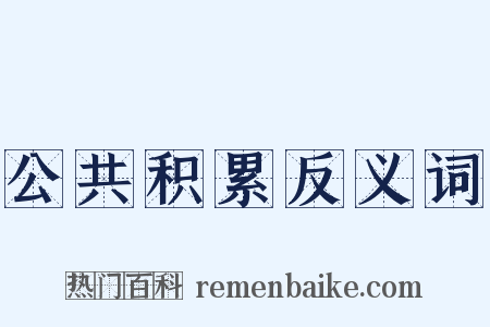 公共积累反义词是什么意思的图片
